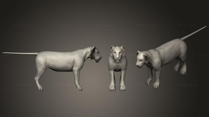 Статуэтки животных (Самец Льва, STKJ_1740) 3D модель для ЧПУ станка